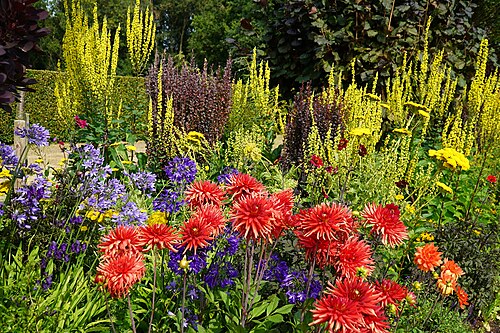 National Garden Scheme